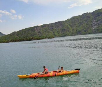 44f8f6e6-4dbc-4460-afc8-a74dcaee6c8d